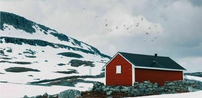 Topp Banner 800x391 last ned i jpg 2