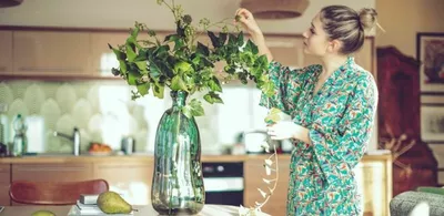 En dame vedlikeholder planten sin. Foto